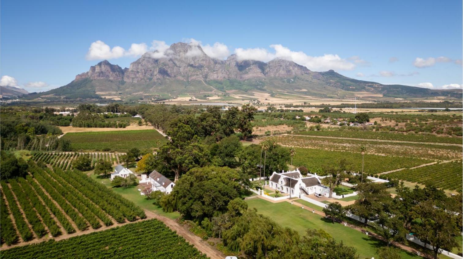 Allee Bleue Wine Estate Simondium Exterior photo